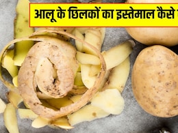 आलू के छिलके से खाद कैसे बनाएं? जानें पौधे की मिट्टी में आलू के छिलके डालने से क्या होता है