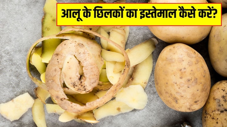 आलू के छिलके से खाद कैसे बनाएं? जानें पौधे की मिट्टी में आलू के छिलके डालने से क्या होता है