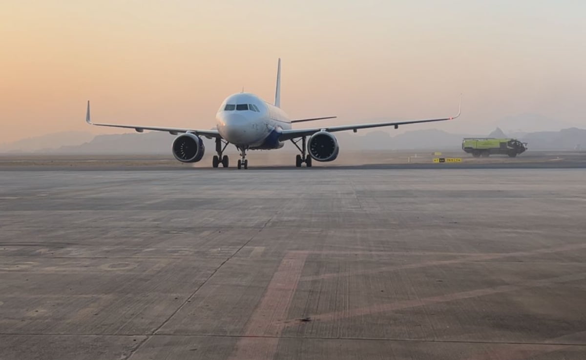 The Art of Baking: From Classic Bread to Artisan Pastries