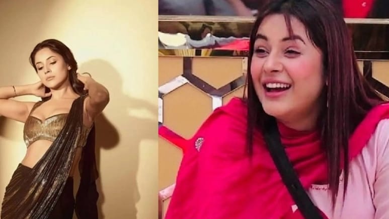 शहनाज गिल की होने वाली भाभी नहीं किसी एक्ट्रेस से कम, बिग बॉस में शहबाज ने बताया था नाम,  ना हो यकीन तो खुद देख लीजिए