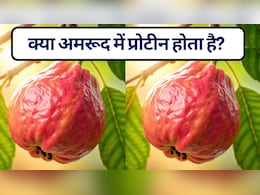 क्या अमरूद में प्रोटीन होता है? जानें सर्दियों में अमरूद खाने के फायदे