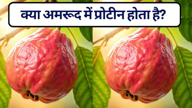 क्या अमरूद में प्रोटीन होता है? जानें सर्दियों में अमरूद खाने के फायदे
