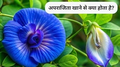 अपराजिता के फूल खाने से क्या फायदा होता है, बालों के लिए अपराजिता फूल का उपयोग कैसे करें?