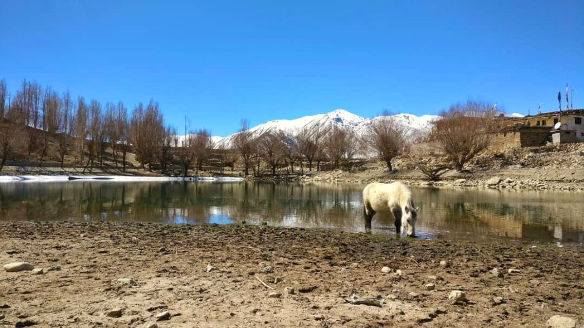 This Indian Village Has A Lake That Freezes Solid In Winter. Here's How To Go There