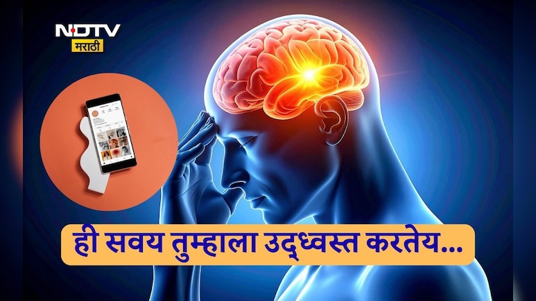 Reels Side Effects: आणखी एक Reel आणि सर्वच संपलं! तुमचा मेंदू होतोय गुलाम, क्षणभराचा आनंद ठरेल प्रचंड घातक