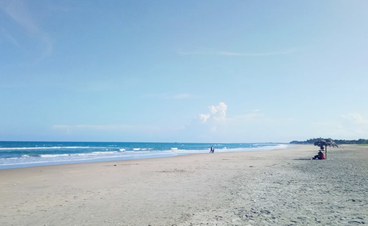 Latest and Breaking News on NDTV Latest and Breaking News on NDTV