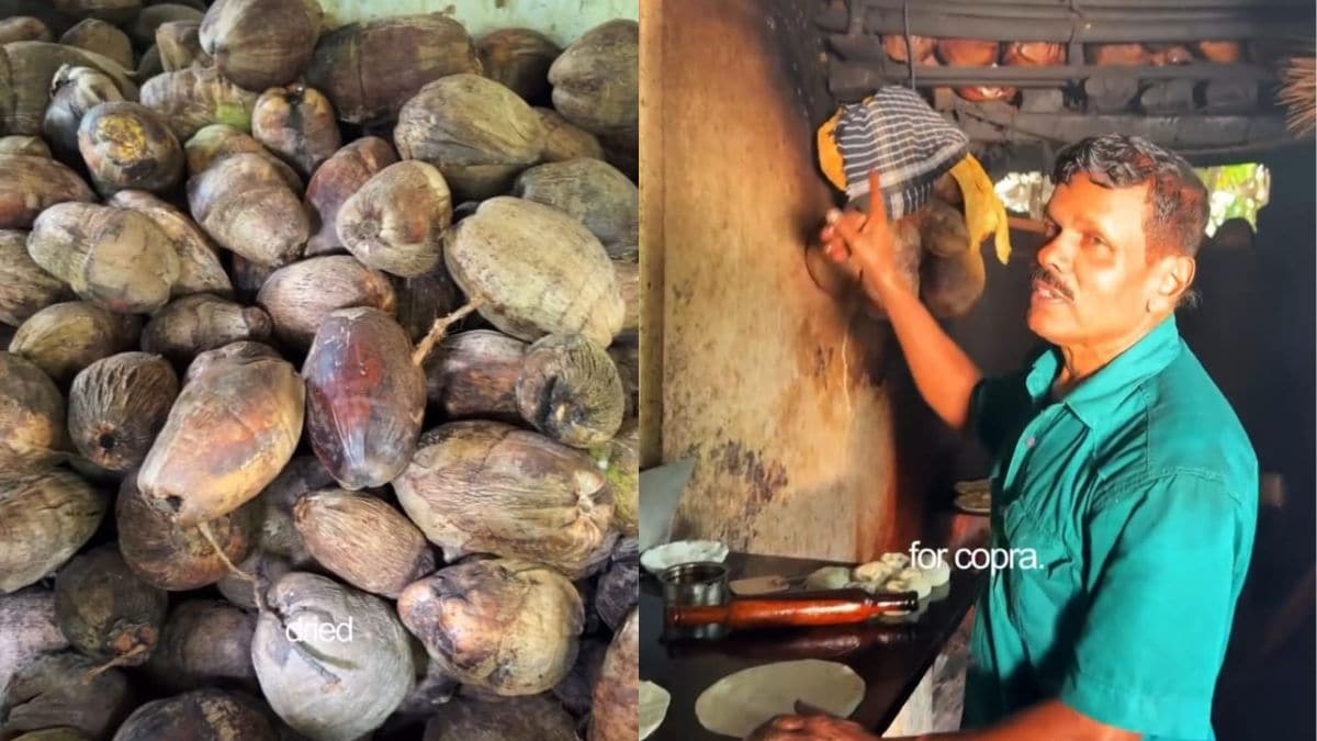 "Super Awesome" - Tea Shop In Kerala With Coconut Barter System Wins Hearts Online