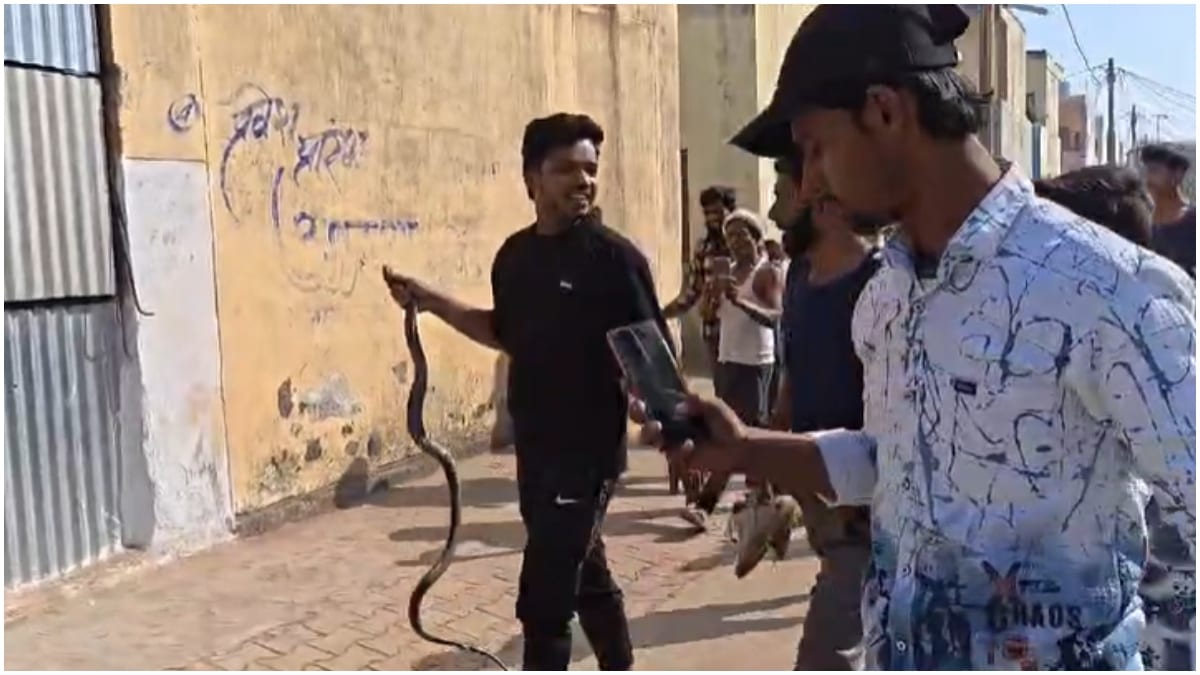 Latest and Breaking News on NDTV Latest and Breaking News on NDTV