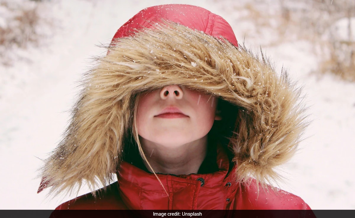 Viral Video Shows Proper Way to Wear Fur Coats