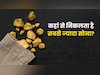 भारत में कहां मिलता है सबसे ज्यादा सोना? जानें कौन कर सकता है यहां खुदाई