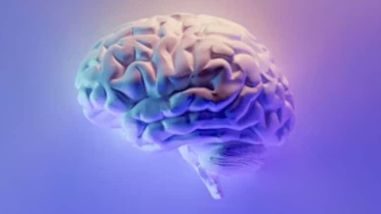 Brain Waves Can Help Distinguish Between One's Own Body And External World: Study