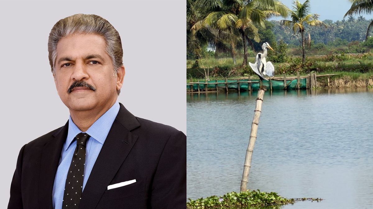 Anand Mahindra Shares Glimpses From His Kerala Trip To "One Of The Most Beautiful Villages On Earth"