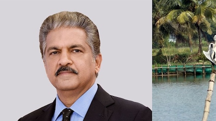 Anand Mahindra Shares Musings On His Serene Kerala Trip, Internet Reacts