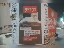देवरिया में 'बिल्ली' के लिए FIR... मालिक ने शहर भर में लगाए पोस्टर, ढूंढने वाले को मिलेगा बड़ा इनाम