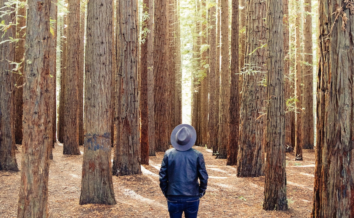 Hushpitality Explained: Why Travellers Are Seeking The Luxury Of Silence