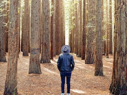 Hushpitality And Quietcations Explained: Why Travellers Are Seeking The Luxury Of Silence