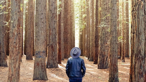 Hushpitality And Quietcations Explained: Why Travellers Are Seeking The Luxury Of Silence