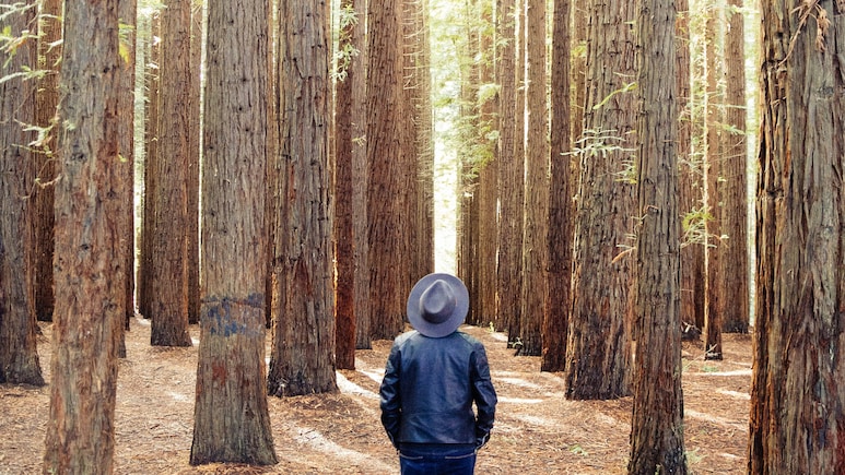 Hushpitality And Quietcations Explained: Why Travellers Are Seeking The Luxury Of Silence