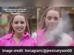 Watch: Wild Footage Shows Seagull Smacking New Zealand Reporter In Face