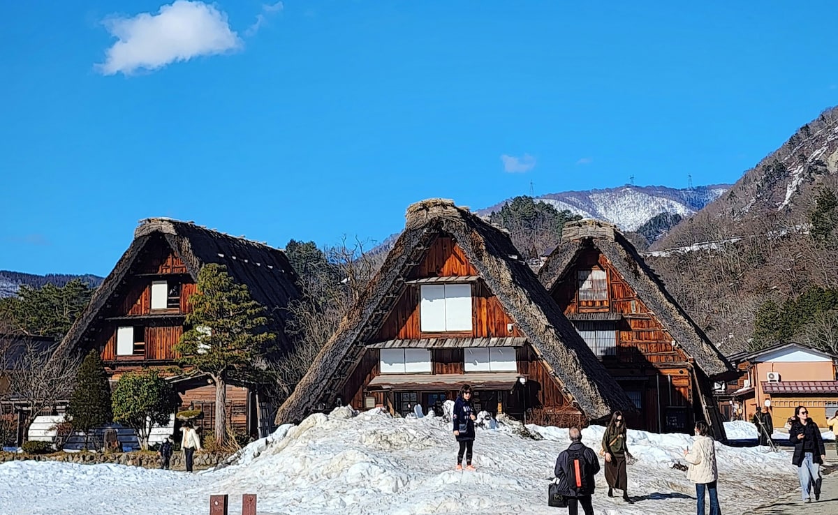 Latest and Breaking News on NDTV Latest and Breaking News on NDTV