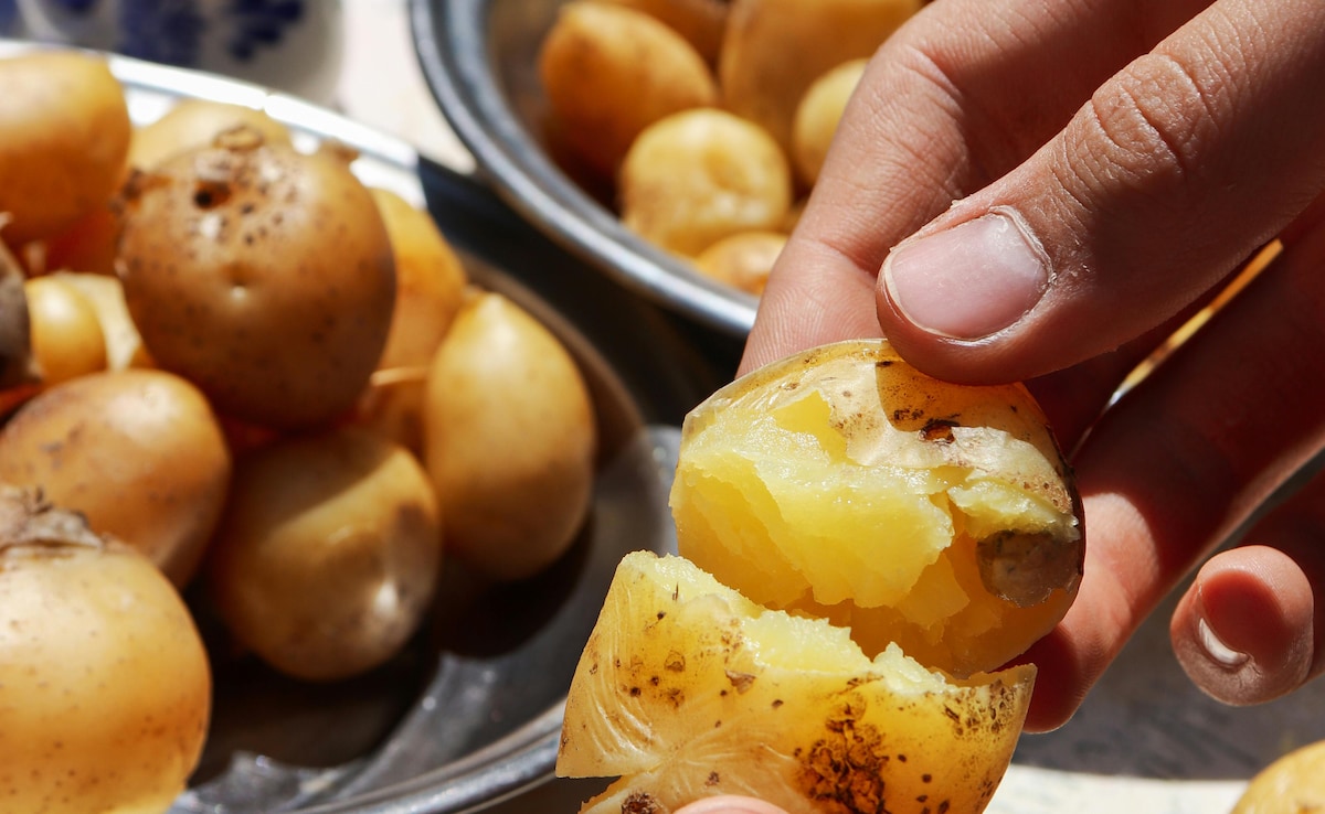 Latest and Breaking News on NDTV Latest and Breaking News on NDTV