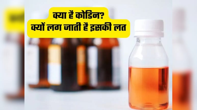 क्या है कोडिन, क्यों लग जाती है इसकी लत, ओवरडोज से होती हैं क्या समस्या और क्या है रिस्क फैक्टर
