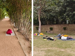 पूरी दिल्ली में सांसों का संकट लेकिन बांसेरा पार्क की हवा सबसे साफ, आखिर राज क्या है?