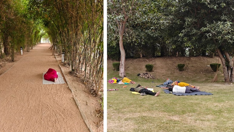 क्या यही है दिल्ली के प्रदूषण का समाधान? स्टडी में &lsquo;ग्रीन लंग&rsquo; बना बांसेरा पार्क