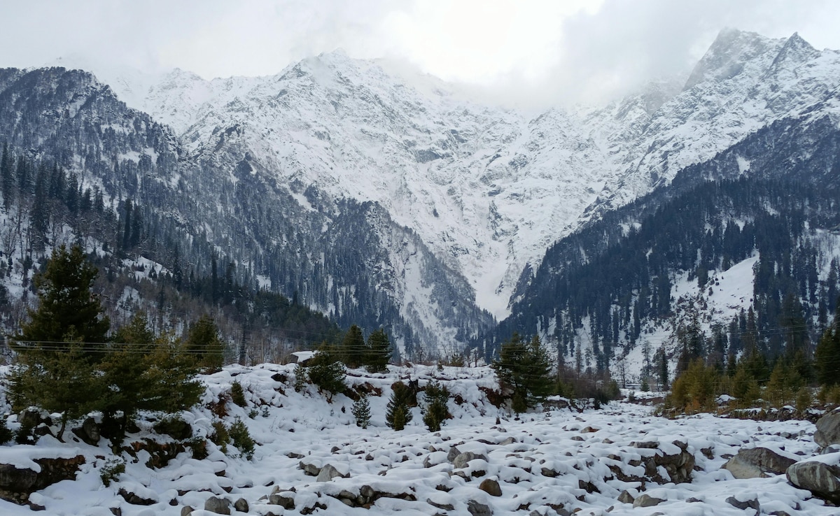 Latest and Breaking News on NDTV Latest and Breaking News on NDTV