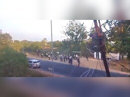 Video Viral: टीकमगढ़ में रणक्षेत्र बना कृषि कॉलेज, छात्रों के दो गुटों में हाइवे किनारे जमकर चले लात-घूंसे