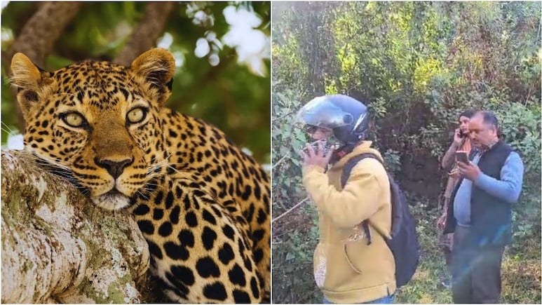 उत्तराखंड में तेंदुए का जबरदस्त खौफ, बच्चों के स्कूल बंद, शादी तो छोड़ो सैर पर भी जानें से डरे लोग