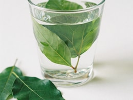 Can Having Curry Leaf Water First Thing In The Morning Improve Digestion?