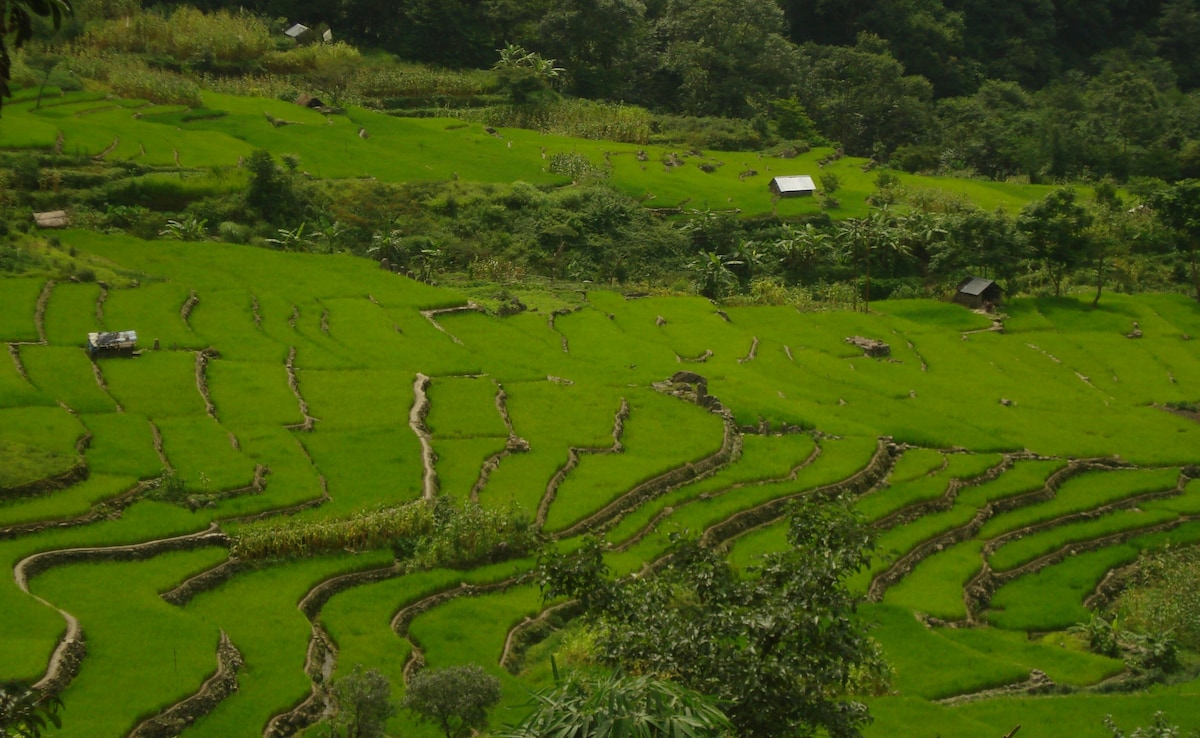 Latest and Breaking News on NDTV Latest and Breaking News on NDTV