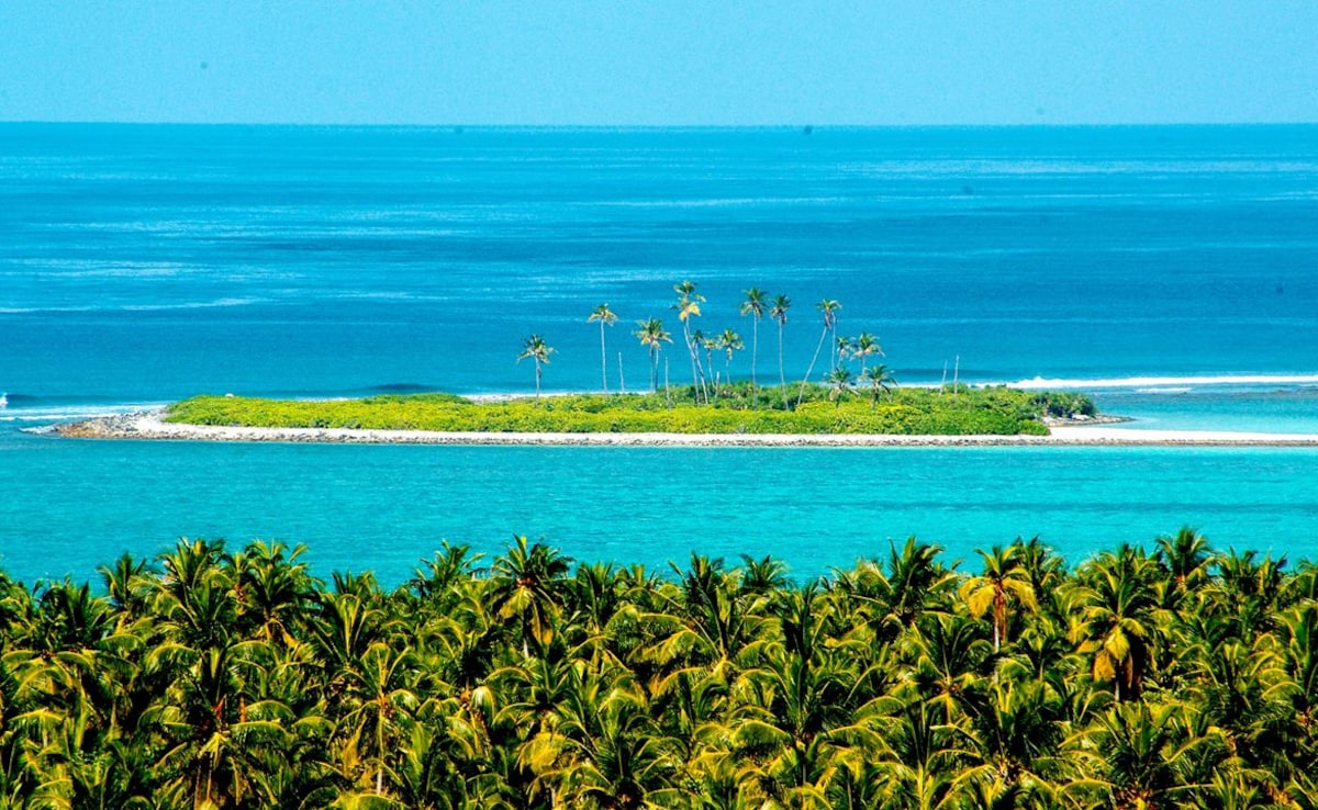 Latest and Breaking News on NDTV Latest and Breaking News on NDTV