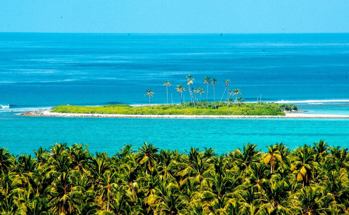 Latest and Breaking News on NDTV