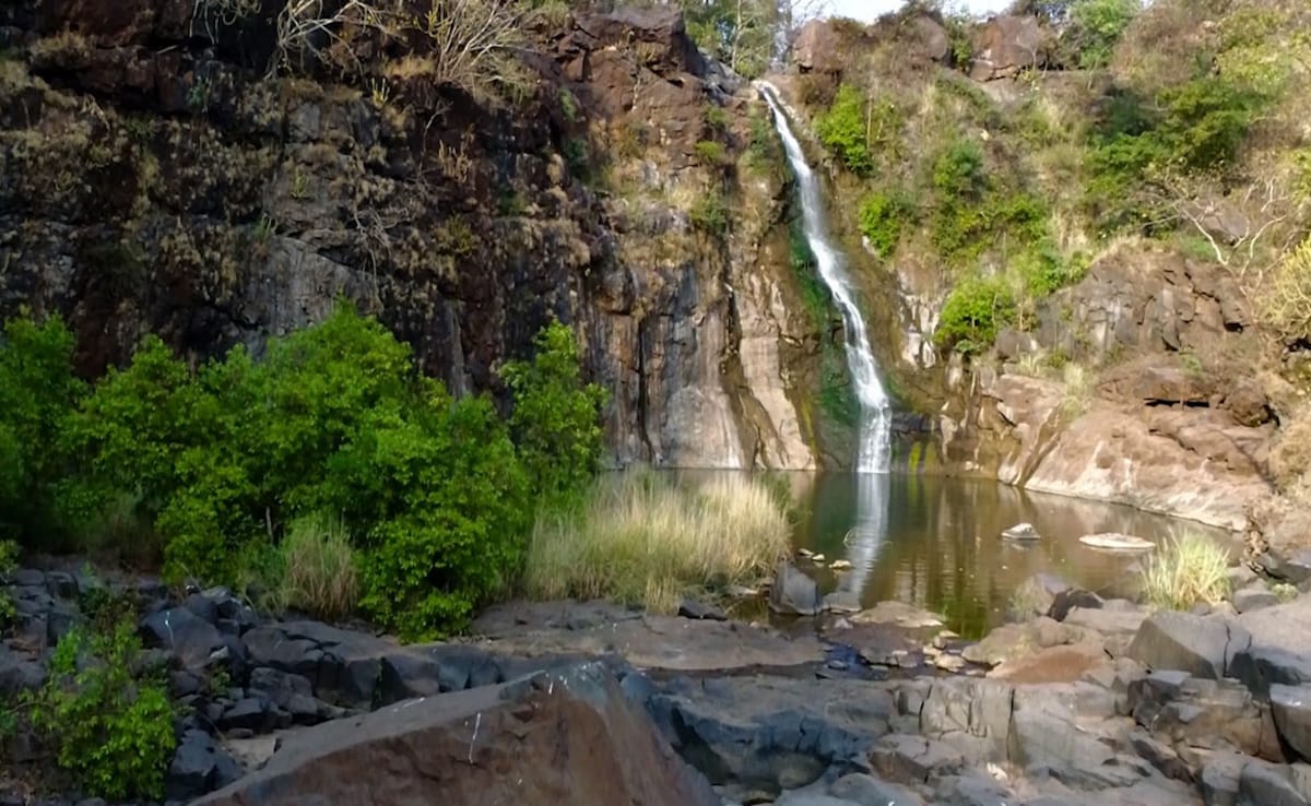 Latest and Breaking News on NDTV