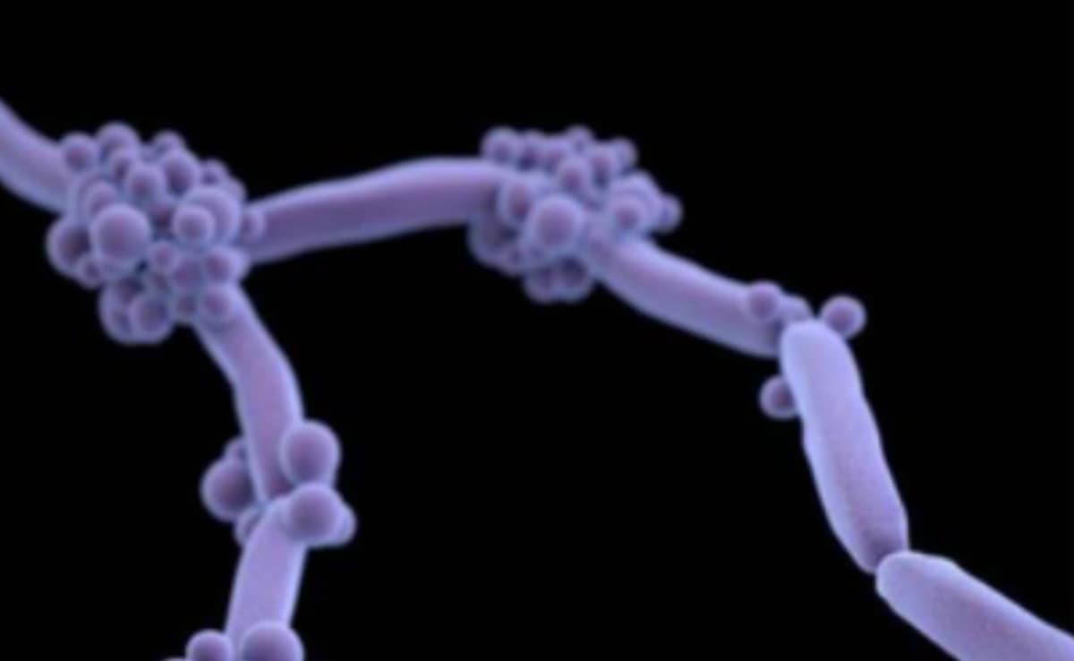 Add image caption here