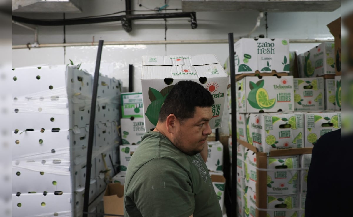 Latest and Breaking News on NDTV