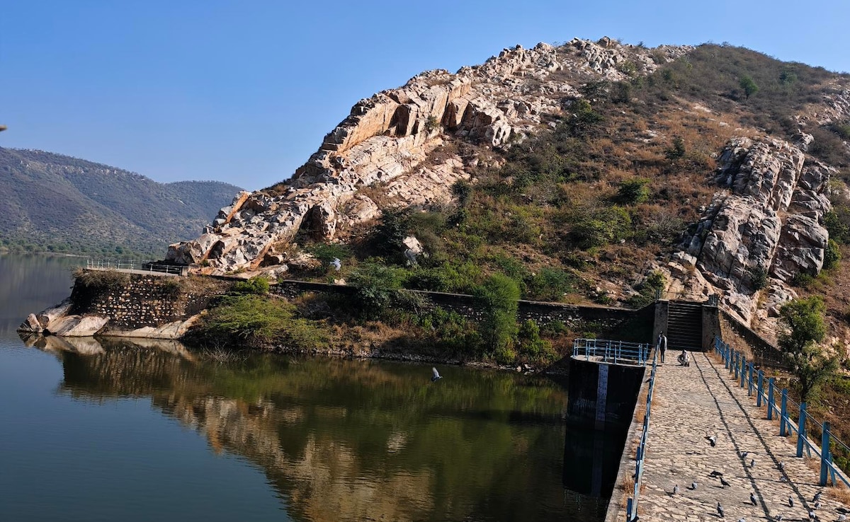 Latest and Breaking News on NDTV