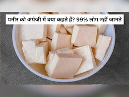 पनीर को अंग्रेजी में क्या कहते हैं? 99% लोग नहीं जानते