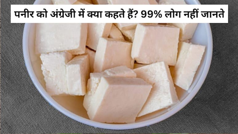पनीर को अंग्रेजी में क्या कहते हैं? 99% लोग नहीं जानते