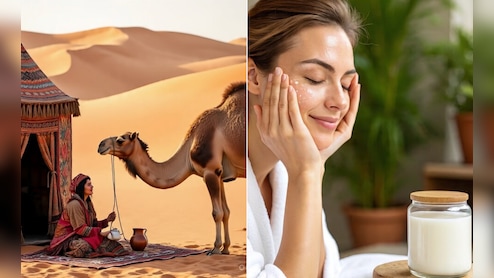 ऊंटनी का दूध चेहरे पर कैसे लगाएं? क्या ऊंट के दूध में कोलेजन होता है, जान&zwj;िए यहां