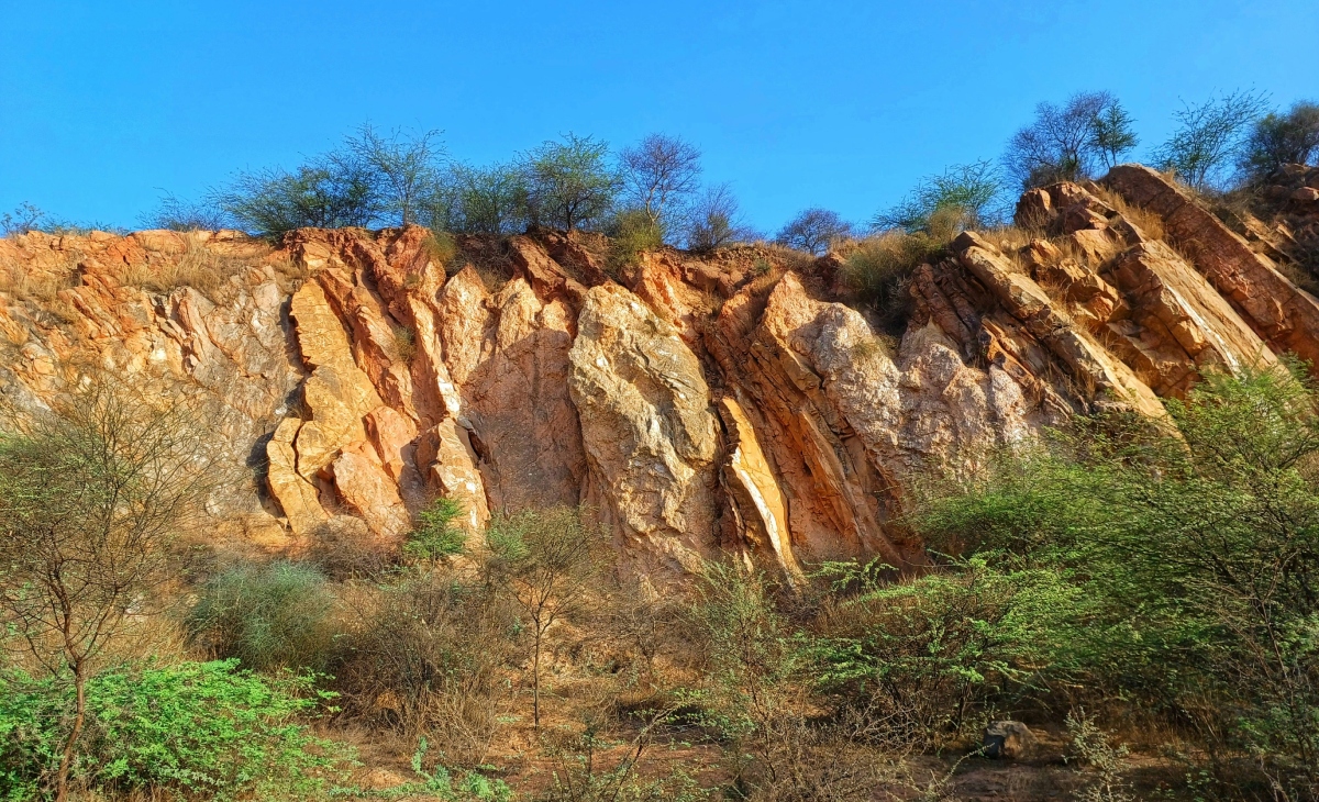 ख़तरनाक है अरावली की क्षति को प्रतिशत में आंकना