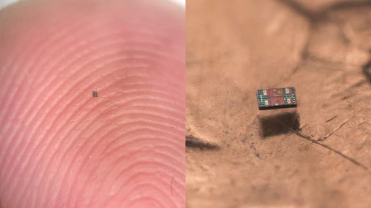 दुनिया का सबसे छोटा रोबोट तैयार, साइज रेत जैसा लेकिन सोचने और चलने की ताकत