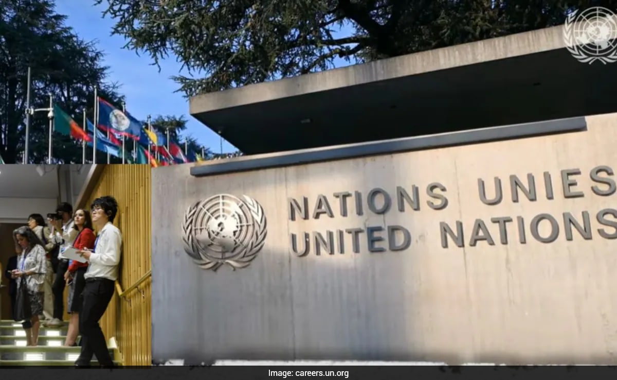 UN Young Professionals Programme 2025 Applications Open