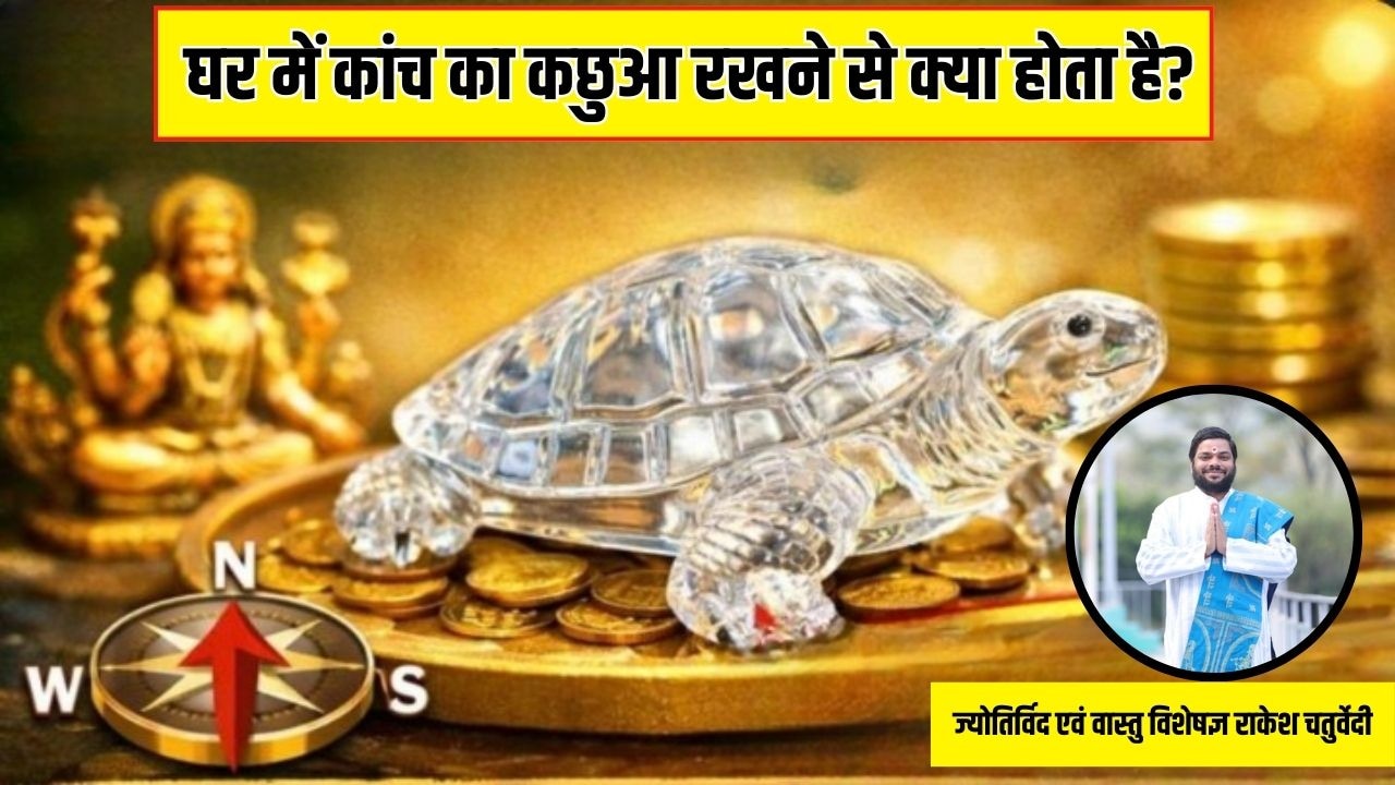 घर में कांच का कछुआ रखने से क्या होता है? ज्योतिर्विद ने बताया- कछुए के पैर किस दिशा में होने चाहिए