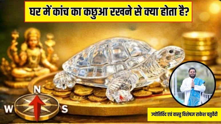 घर में कांच का कछुआ रखने से क्या होता है? ज्योतिर्विद ने बताया- कछुए के पैर किस दिशा में होने चाहिए