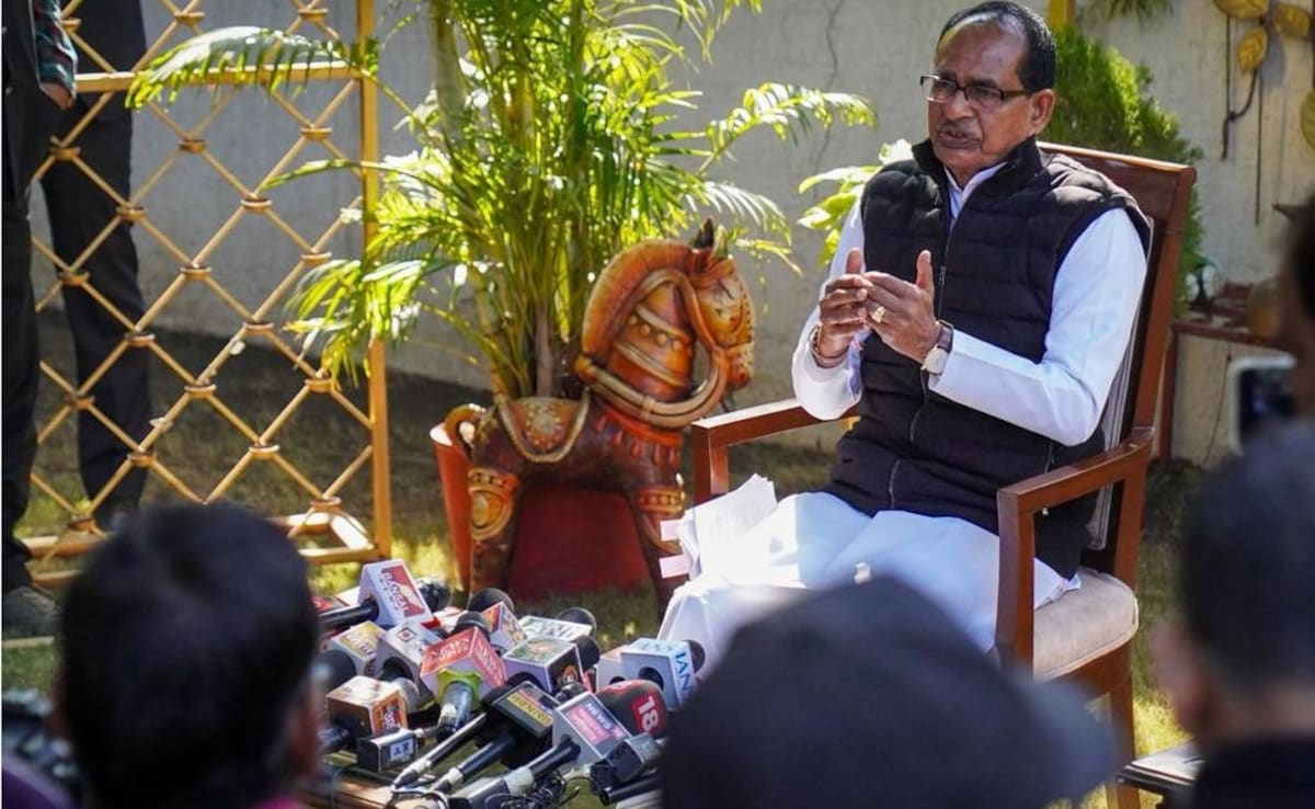 The Art of Baking: From Classic Bread to Artisan Pastries