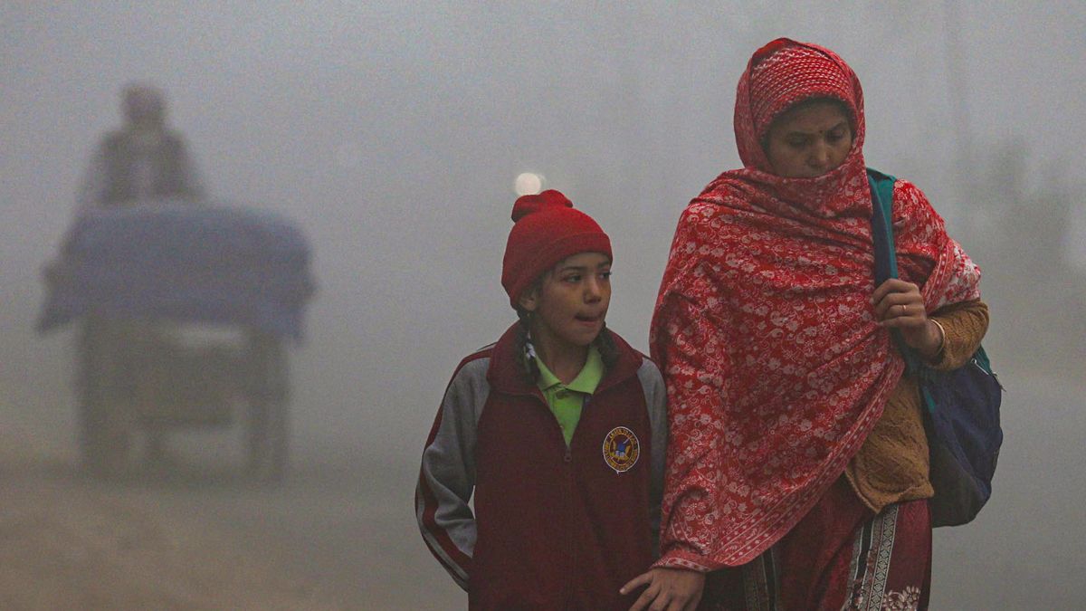 दिल्‍ली बनी शिमला, 25 तक पड़ेगी कुल्‍लू वाली ठंड, यूपी से पंजाब तक घने कोहरे का अलर्ट