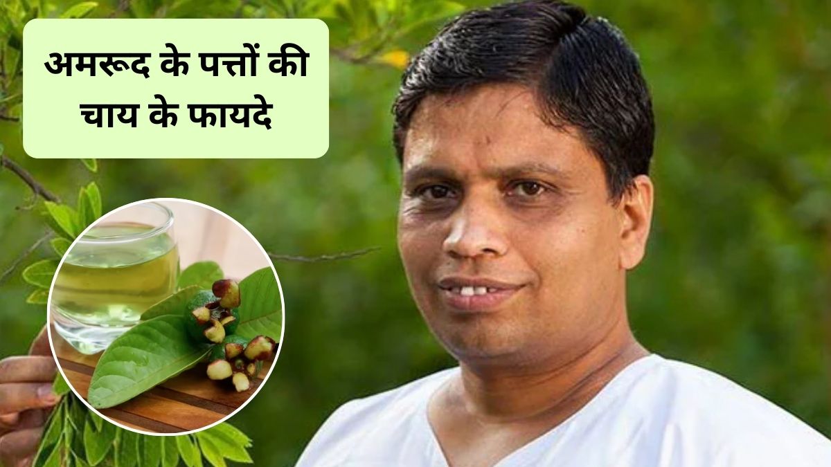 अमरूद के पत्तों की चाय पीने से क्या होता है? आचार्य बालकृष्ण से जानिए फायदे और कैसे बनाएं अमरूद के पत्तों की चाय